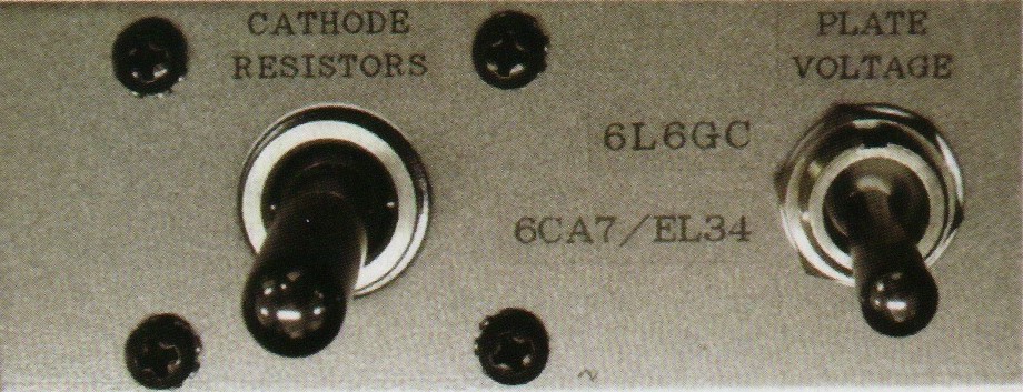 leben CS-600X tube amplifier putkivahvistin testi